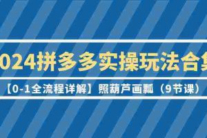 （9559期）2024拼多多实操玩法合集【0-1全流程详解】照葫芦画瓢（9节课）
