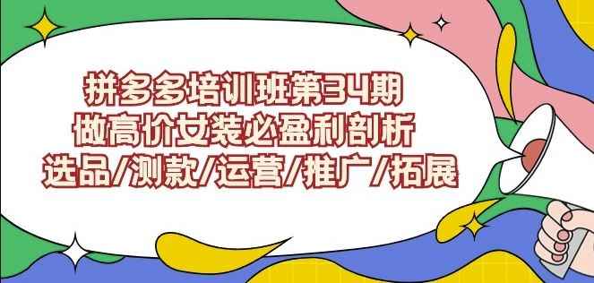 拼多多培训班第34期：做高价女装必盈利剖析选品/测款/运营/推广/拓展