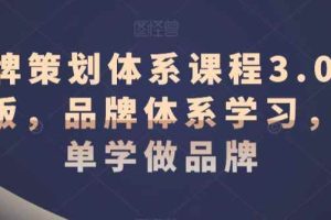 品牌策划体系课程3.0升级版，品牌体系学习，简单学做品牌