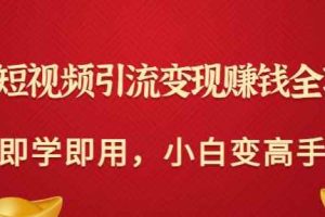 快手短视频引流变现赚钱全攻略：即学即用，小白变高手（价值980元）
