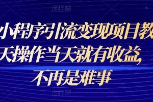 微信小程序引流变现项目教程，以当天操作当天就有收益，变现不再是难事