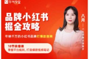 品牌小红书掘金攻略，年销千万的小红书品牌打爆款指南