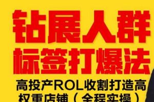 钻展人群标签打爆法，高投产ROL收割打造高权重店铺(全程实操)