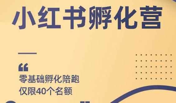 勇哥小红书撸金快速起量项目：教你如何快速起号获得曝光，做到月躺赚在3000+