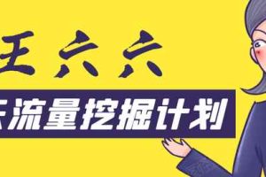 王六六30天流量挖掘计划，从零开始打造一套精准流量挖掘体系