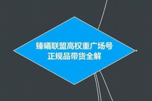 臻曦联盟抖音高权重广场号无人直播正规品带货全解【视频教程】