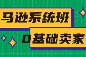 2020年最新亚马逊培训课程：亚马逊新手开店+选品与站内运营+站外引流(无水印)