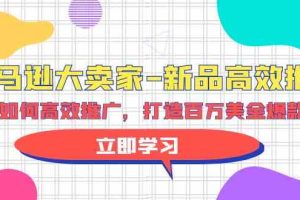 （9945期）亚马逊 大卖家-新品高效推广，分享如何高效推广，打造百万美金爆款单品