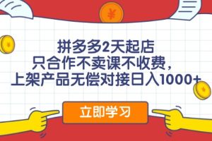 (12356期)拼多多0成本开店,只合作不卖课不收费,0成本尝试,日赚千元+
