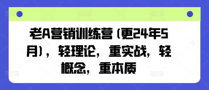 老A营销训练营(更24年10月),轻理论,重实战,轻概念,重本质