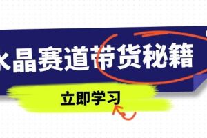 （14406期）水晶赛道带货秘籍，国学结合、短视频起号、拍摄技巧、直播话术等内容