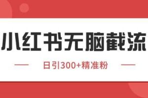 小红书截流同行客源，独家野路子获客玩法 日引200+暴力获客【揭秘】