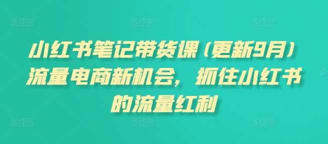 小红书笔记带货课，流量电商新机会，抓住小红书的流量红利(更新26年2月)-创客天堂